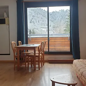 Appartement 2 Et Terrasse Ensoleillée, Le Mont-Dore